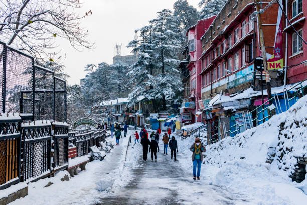 Delhi to Shimla 3 Days Tour Package by Taxi